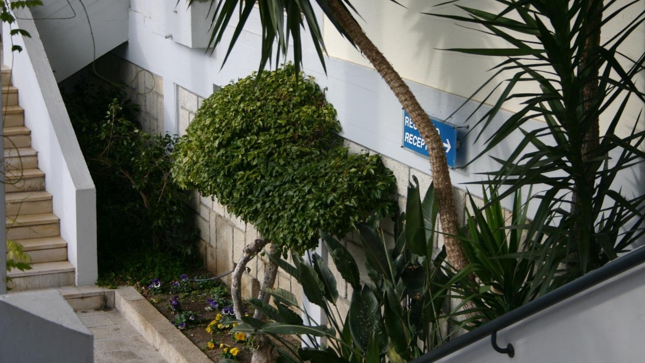 Photo of Outdoor in Mangualde