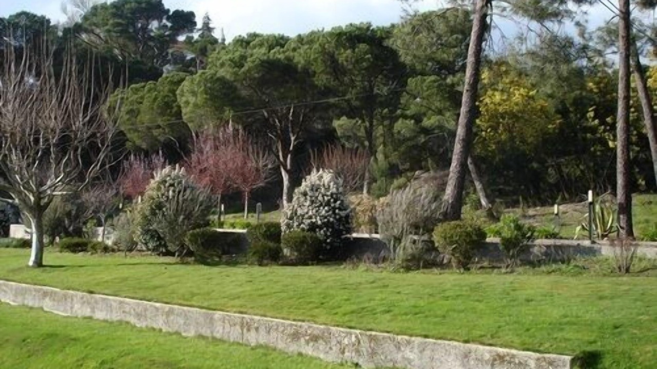 Photo of Outdoor in Mangualde