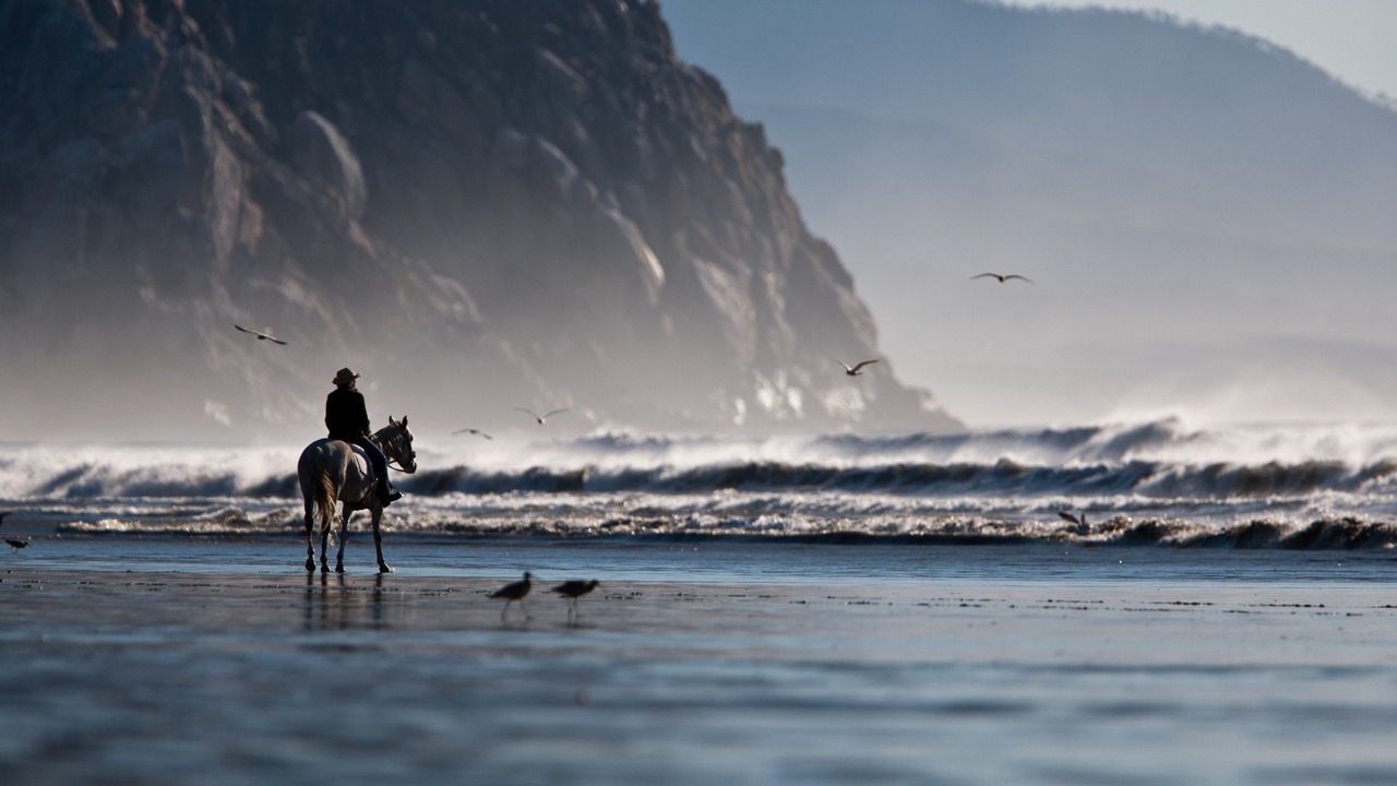 Photo of Others in Morro Bay