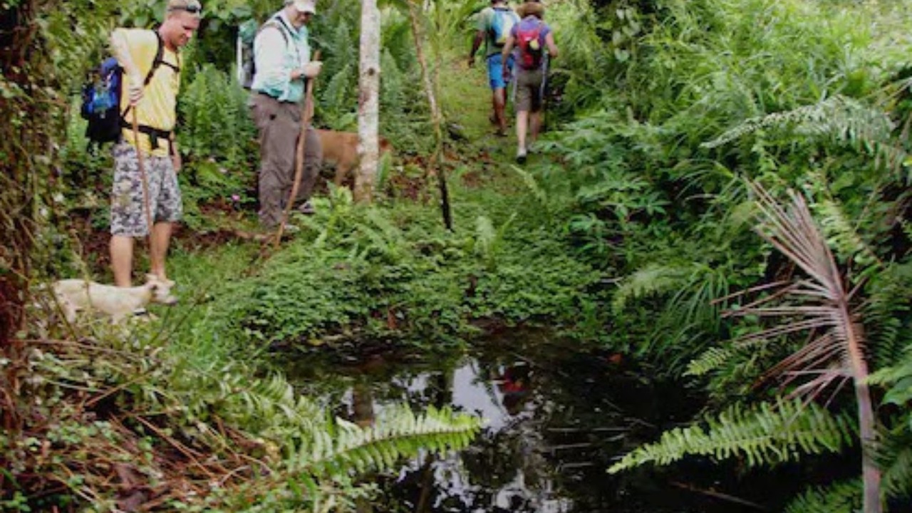 Photo of Outdoor in Matei