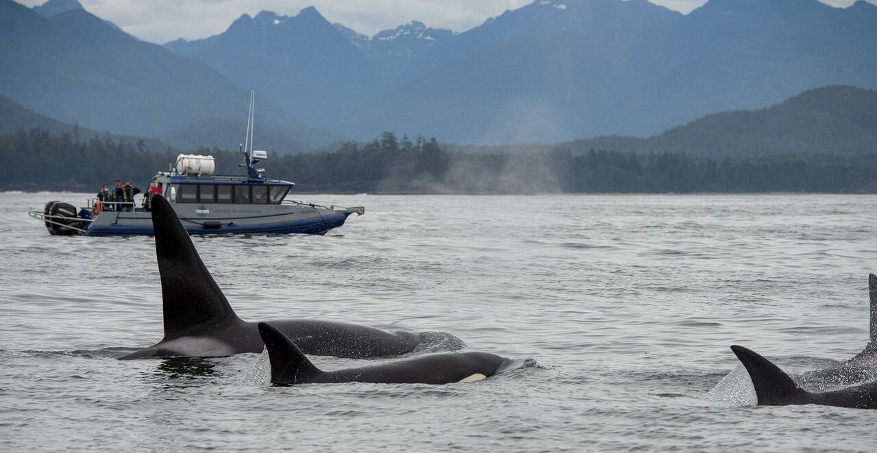 Photo of Others in Tofino
