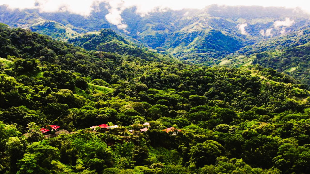 Photo of Outdoor in Ballena
