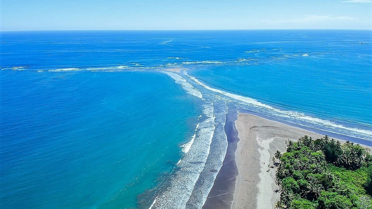 Photo of Others in Ballena