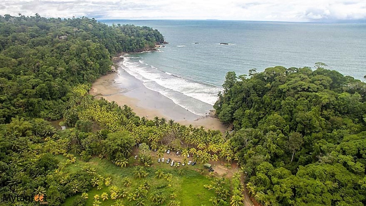 Photo of Others in Ballena