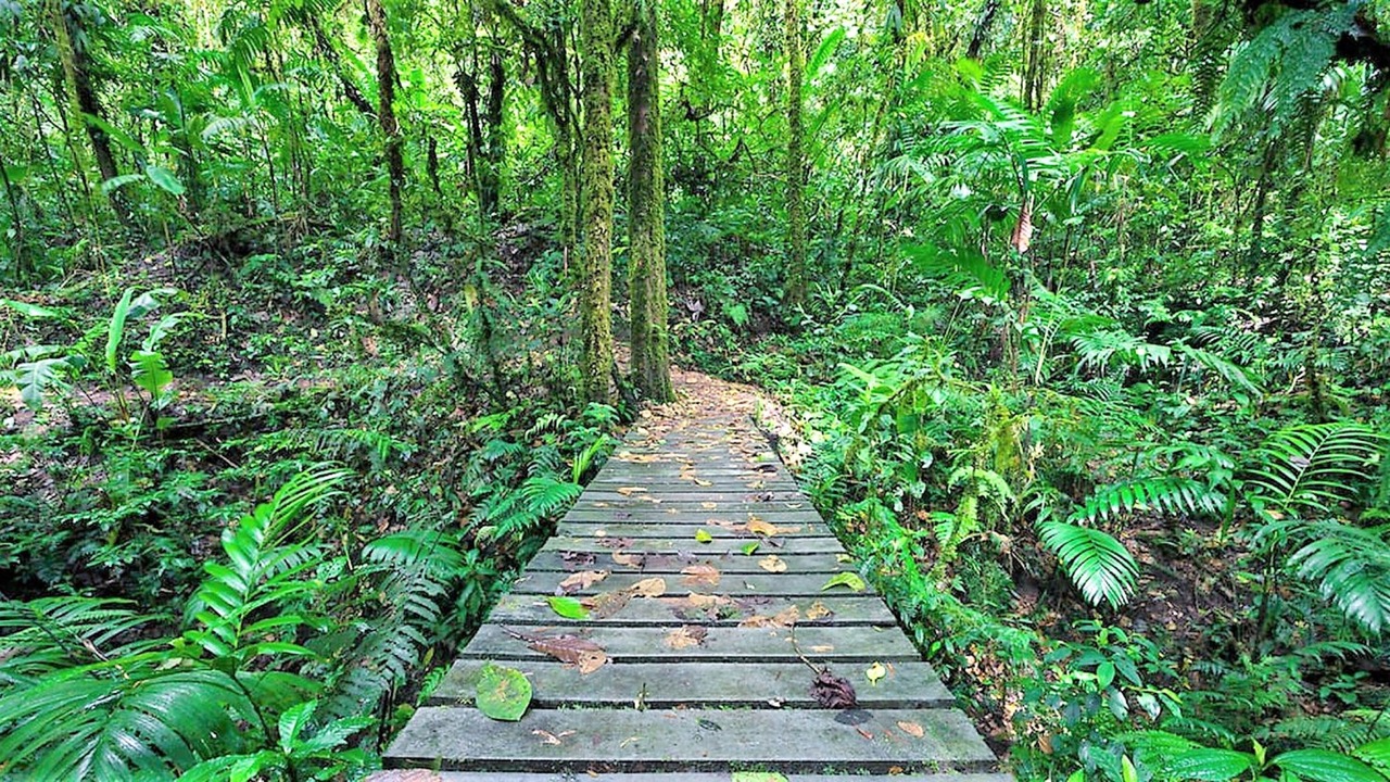 Photo of Outdoor in Ballena