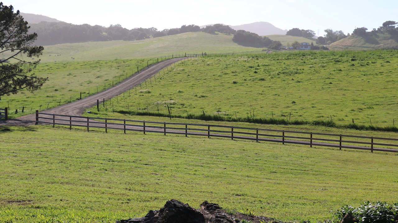 Photo of Outdoor in San Luis Obispo