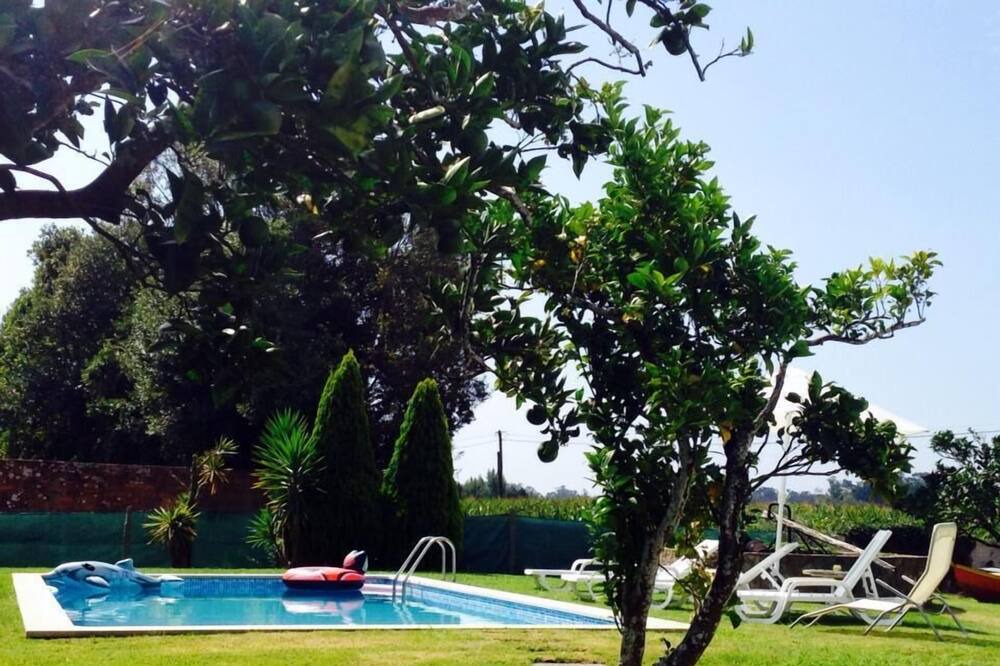 Photo of Outdoor in Murtosa