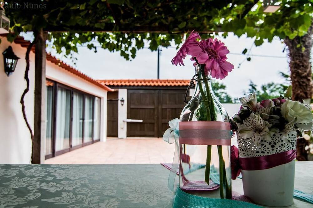 Photo of Outdoor in Murtosa