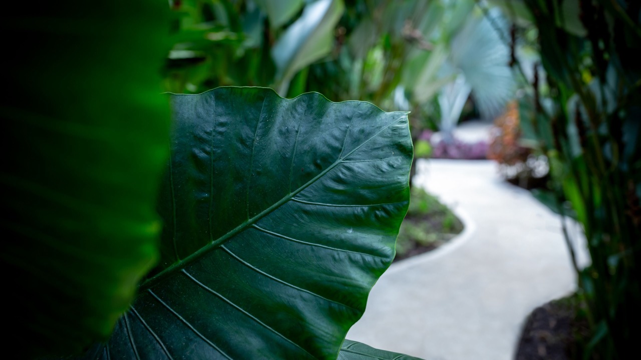 Photo of Outdoor in Ballena