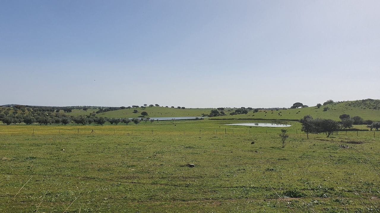 Photo of Others in Assuncao