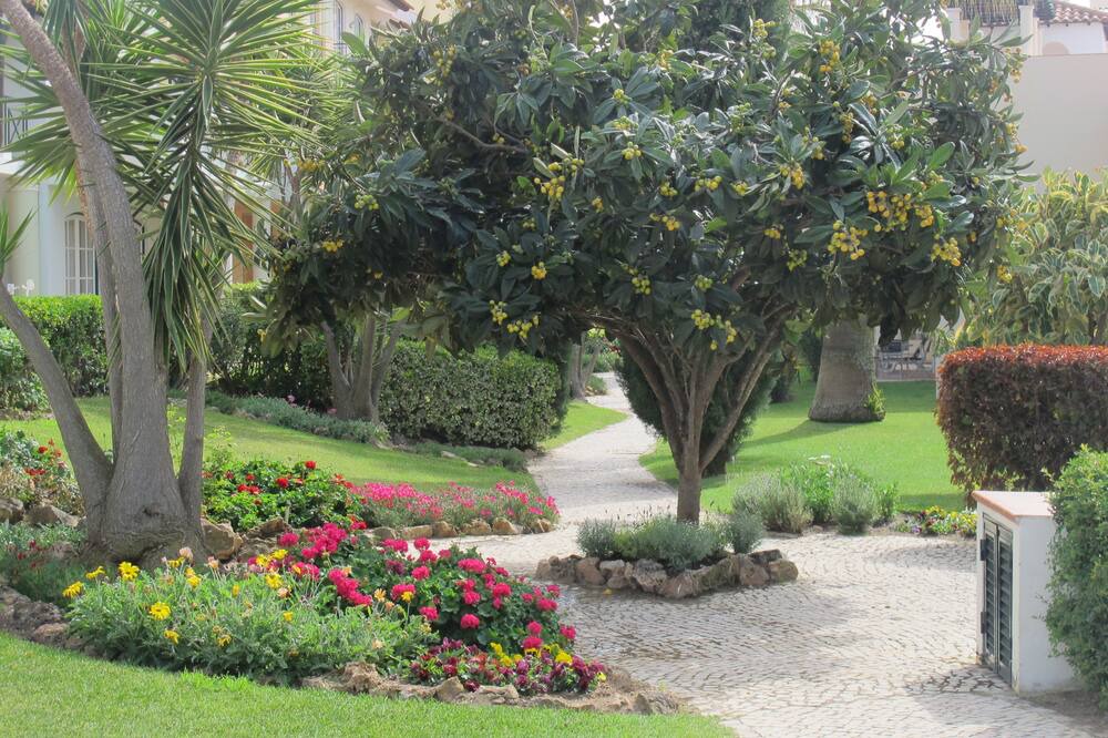 Photo of Outdoor in Vilamoura