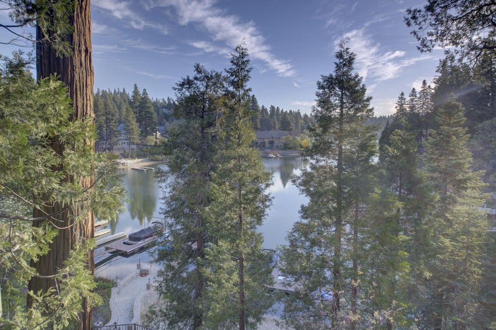 Photo of Outdoor in Blue Jay