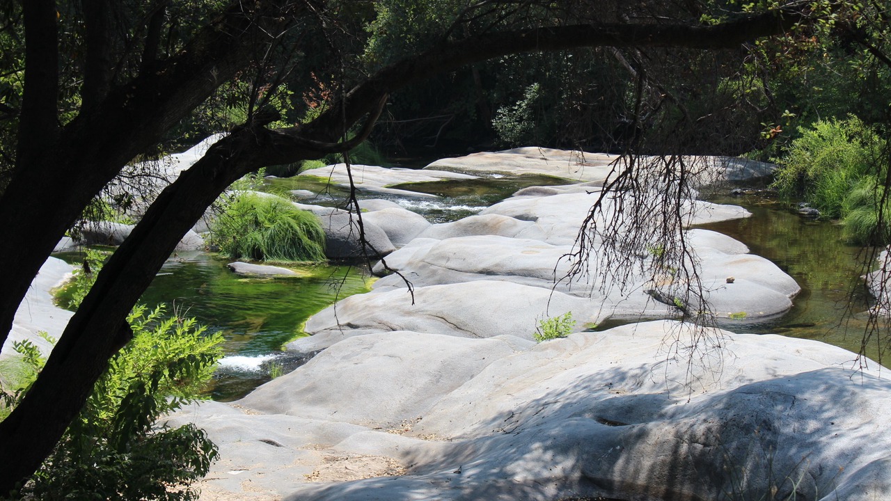 Photo of Outdoor in Kaweah