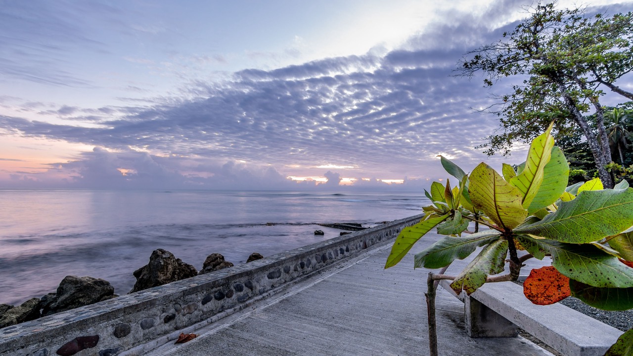 Photo of Others in Cahuita
