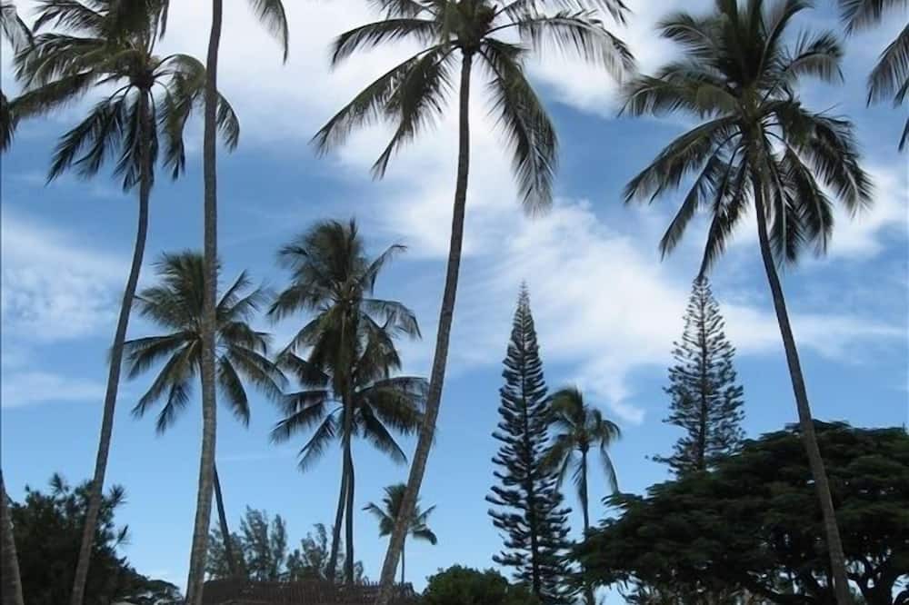 Photo of Outdoor in Waialua
