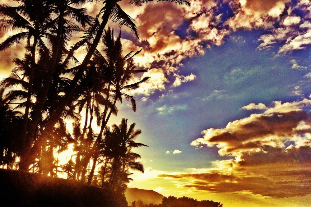 Photo of Others in Waialua