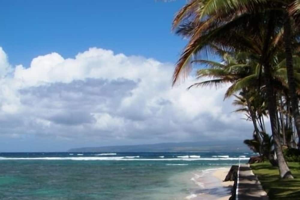 Photo of Others in Waialua
