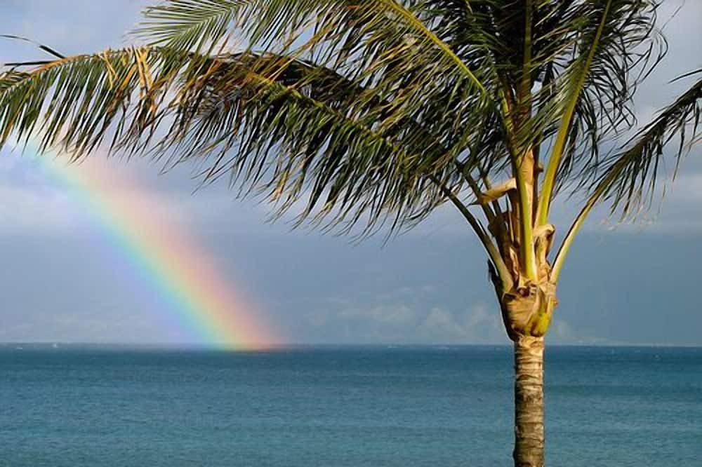 Photo of Others in Waialua