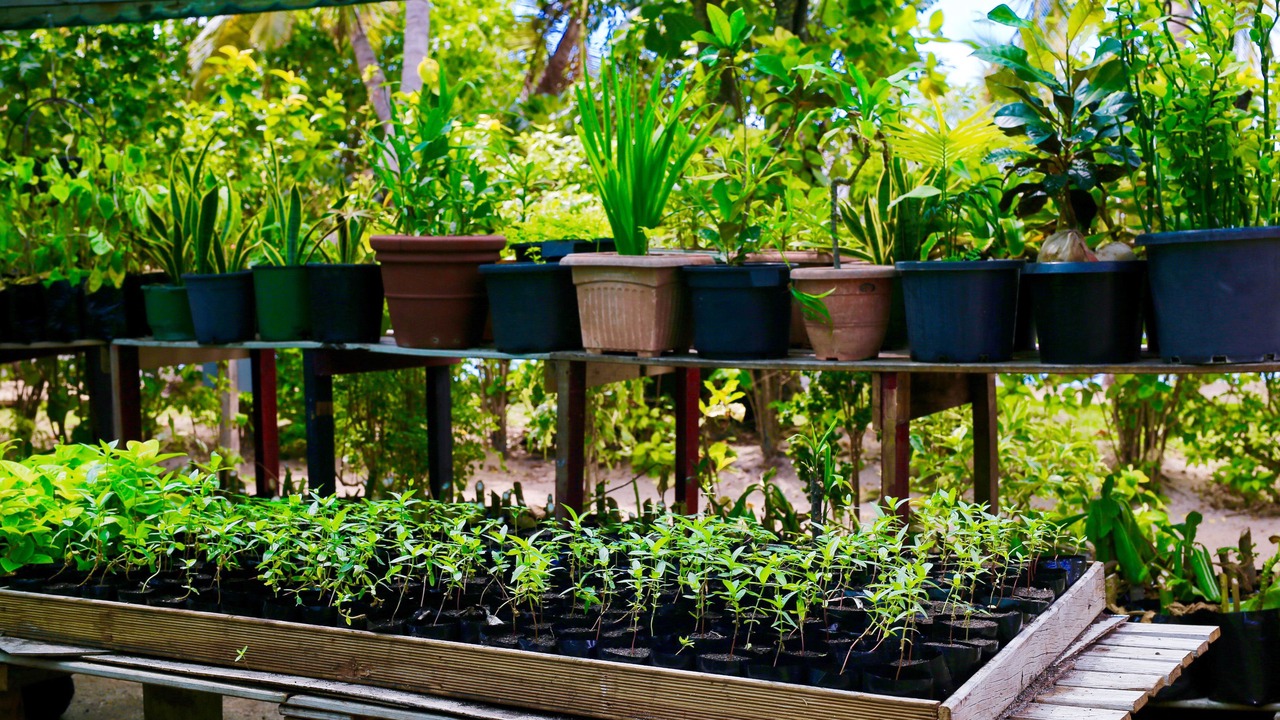 Photo of Outdoor in Bounty Island