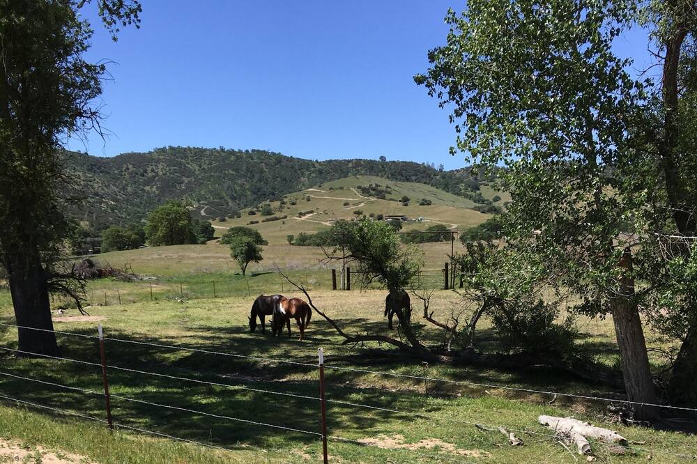 Photo of Others in San Luis Obispo