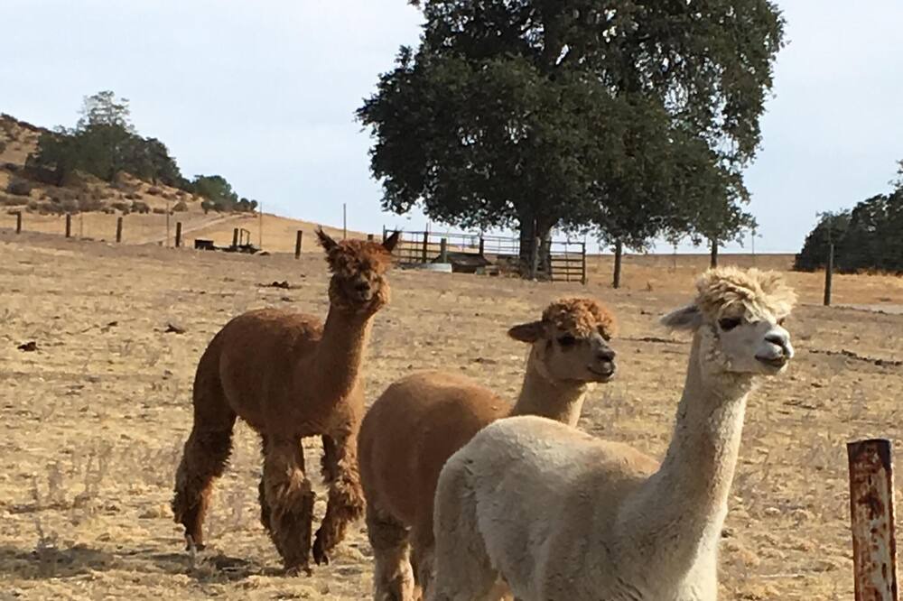 Photo of Outdoor in San Luis Obispo