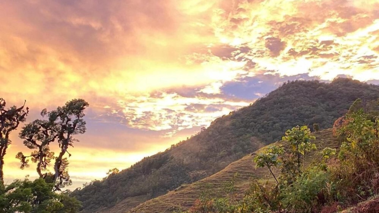 Photo of Outdoor in Rivas