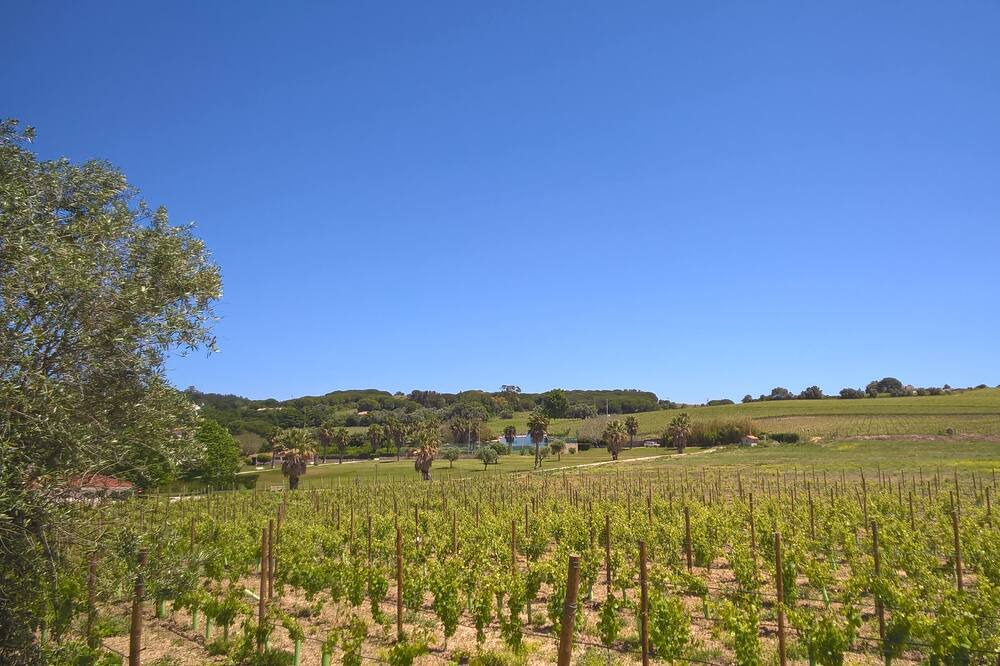 Photo of Outdoor in Vila Nogueira de Azeitao