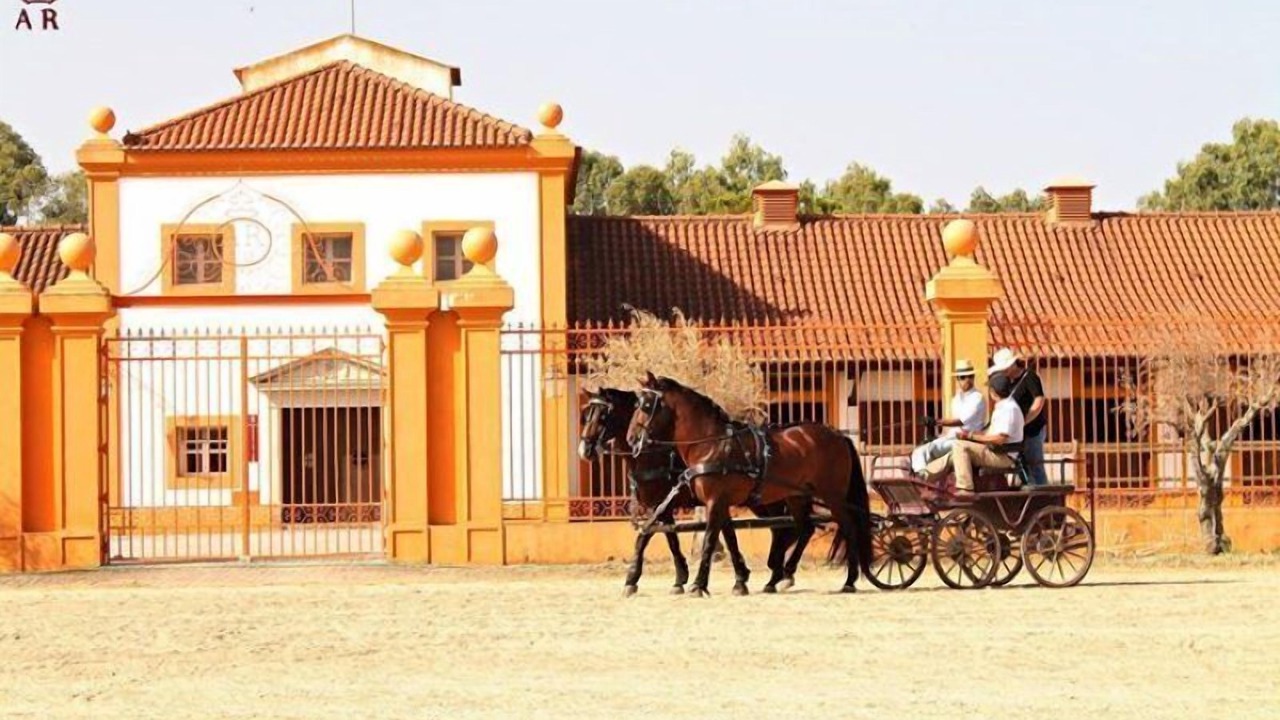 Photo of Others in Santa Maria de Marvao