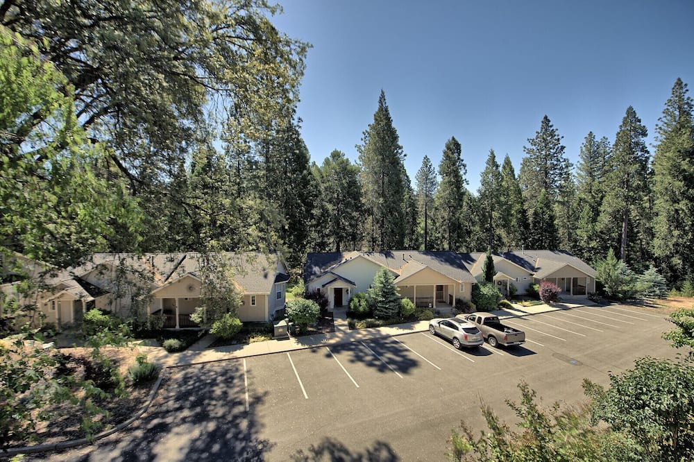 Photo of Others in Forest Meadows