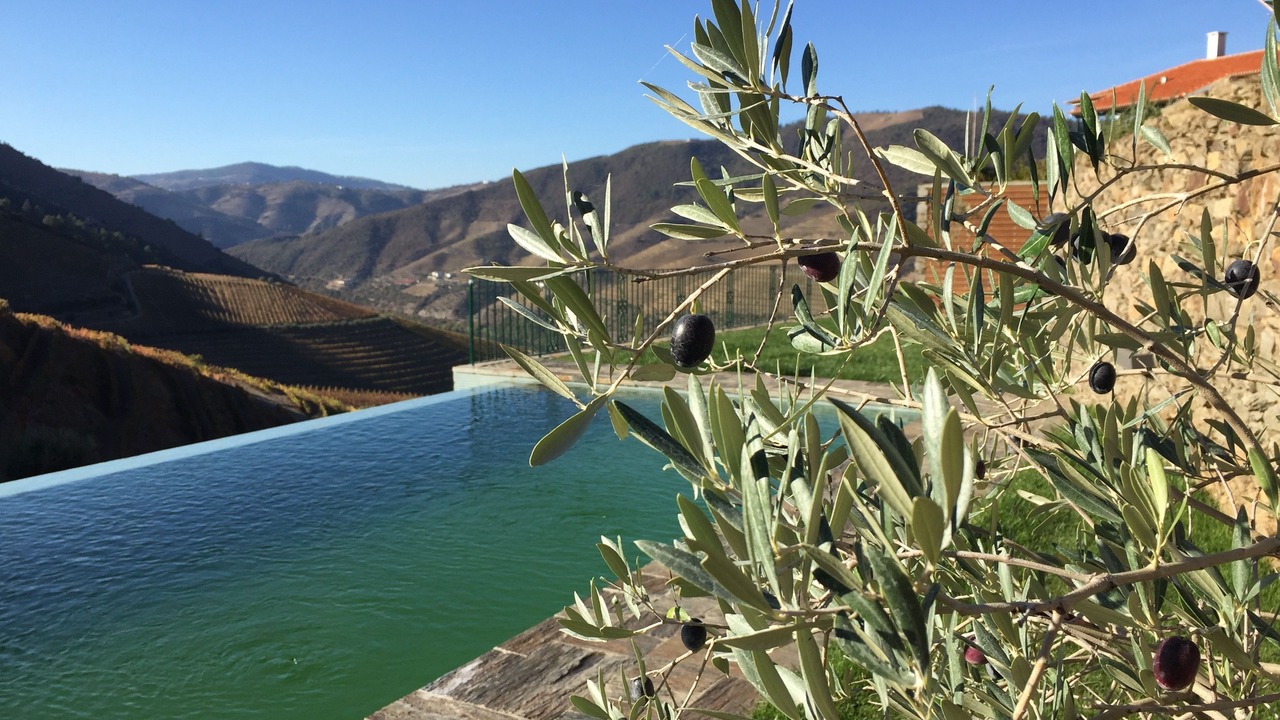 Photo of Outdoor in Cotas