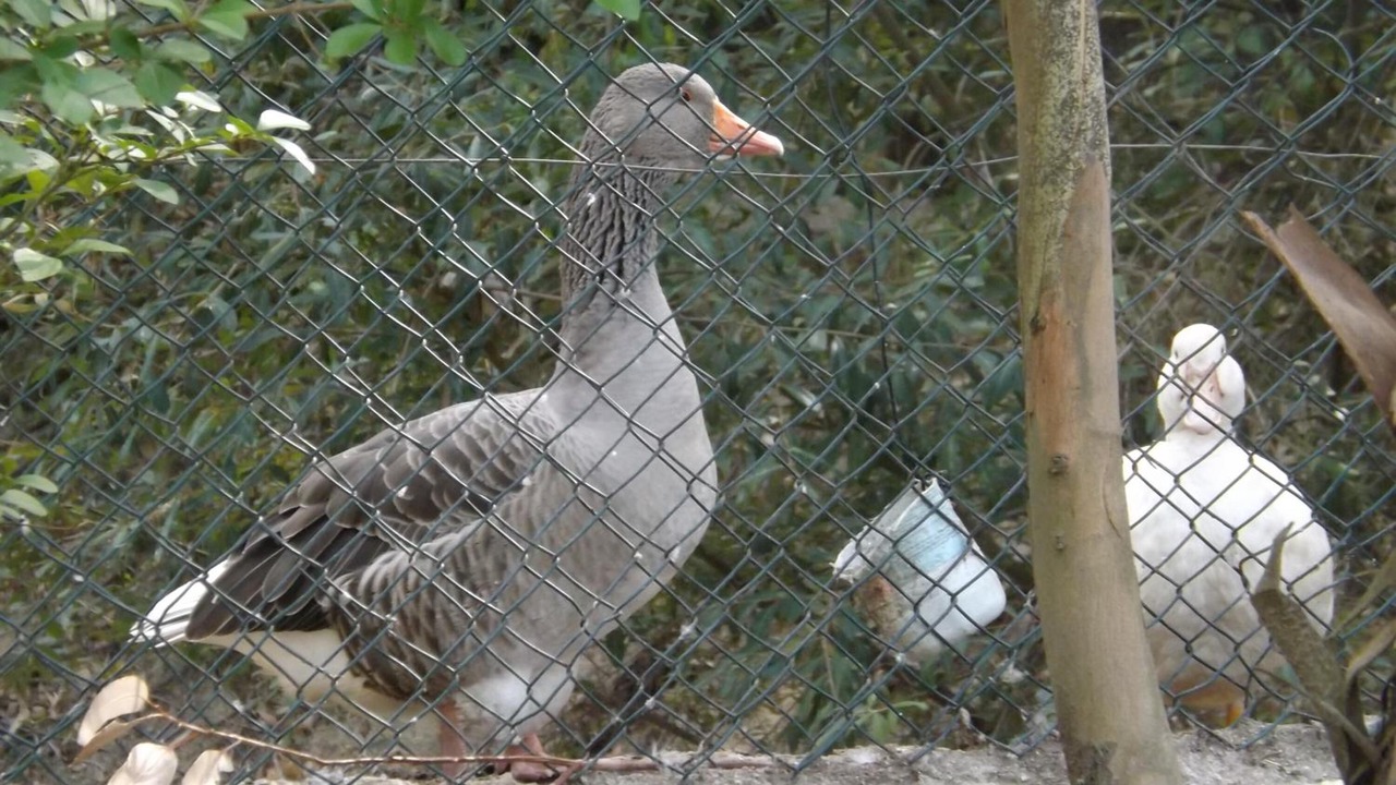 Photo of Outdoor in Moimenta da Beira