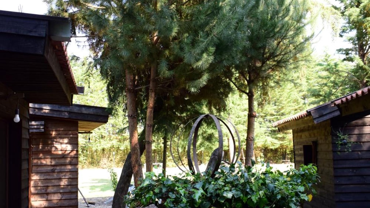 Photo of Outdoor in Moimenta da Beira