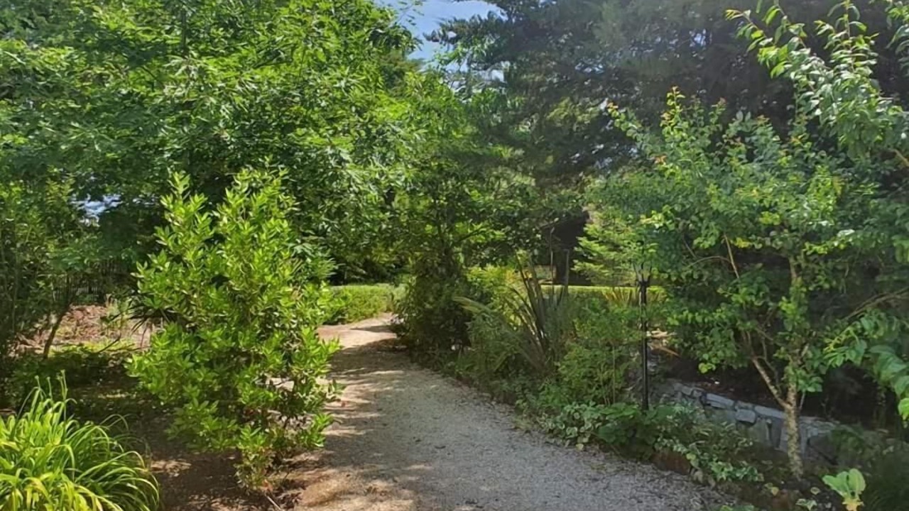 Photo of Outdoor in Moimenta da Beira