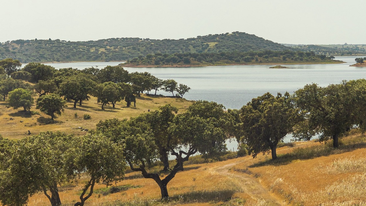 Photo of Outdoor in Mourao