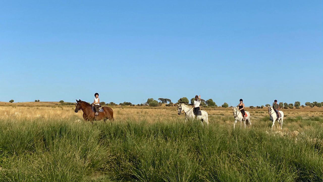 Photo of Others in Mourao