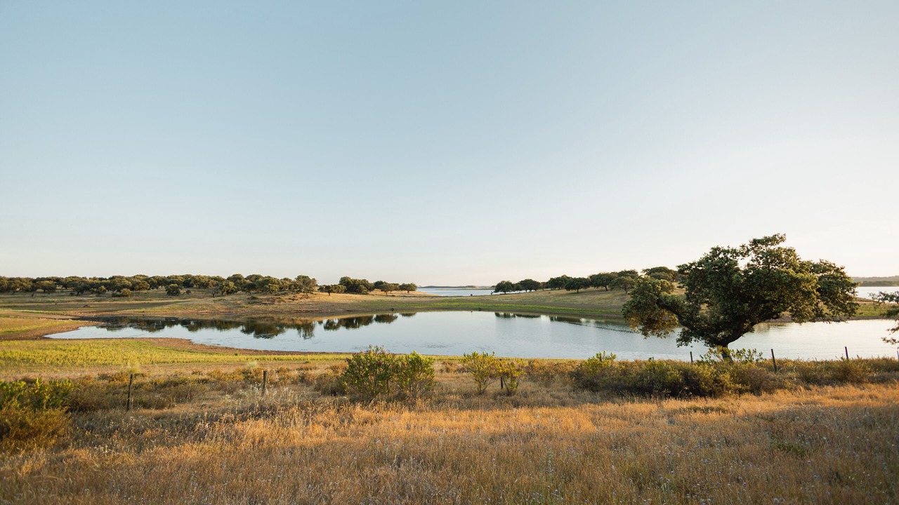 Photo of Outdoor in Mourao