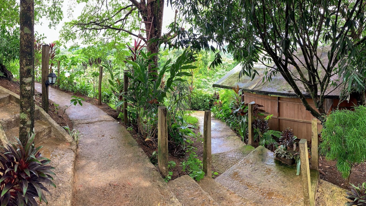 Photo of Outdoor in Drake Bay