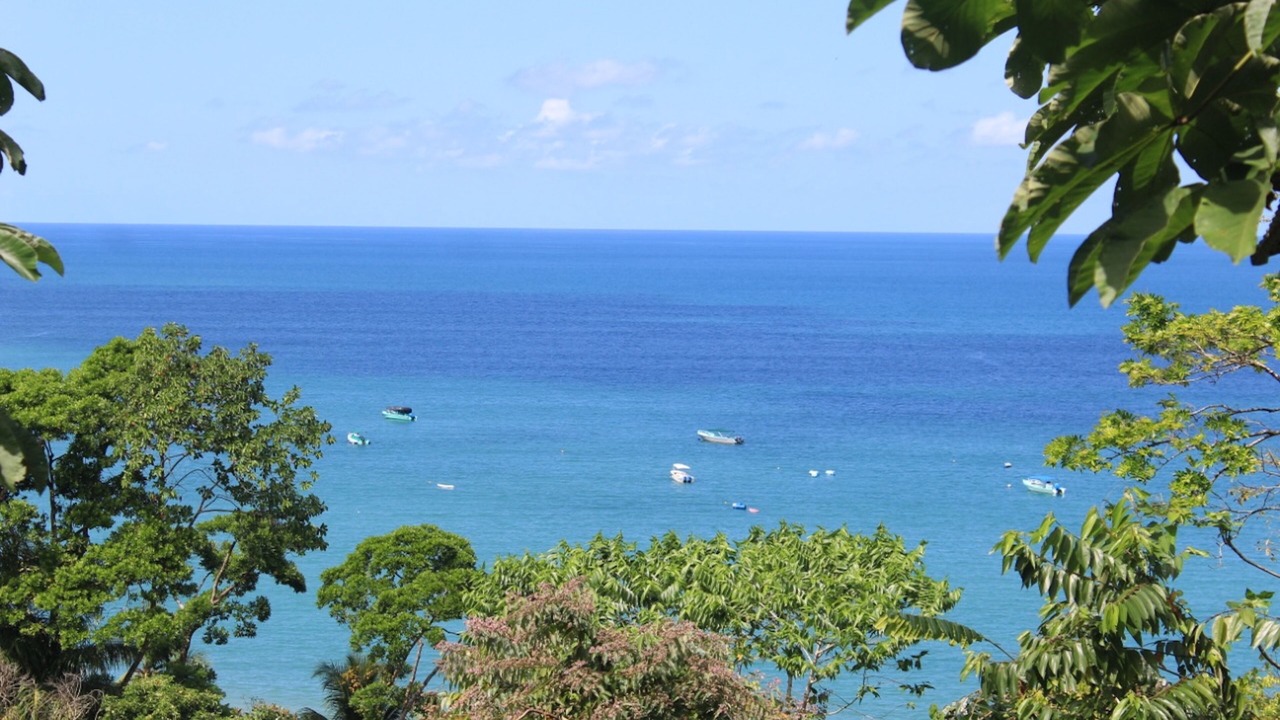 Photo of Others in Drake Bay