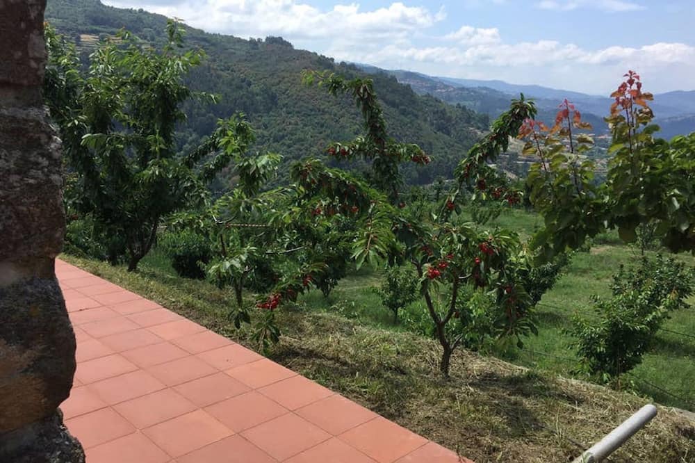 Photo of Outdoor in Resende