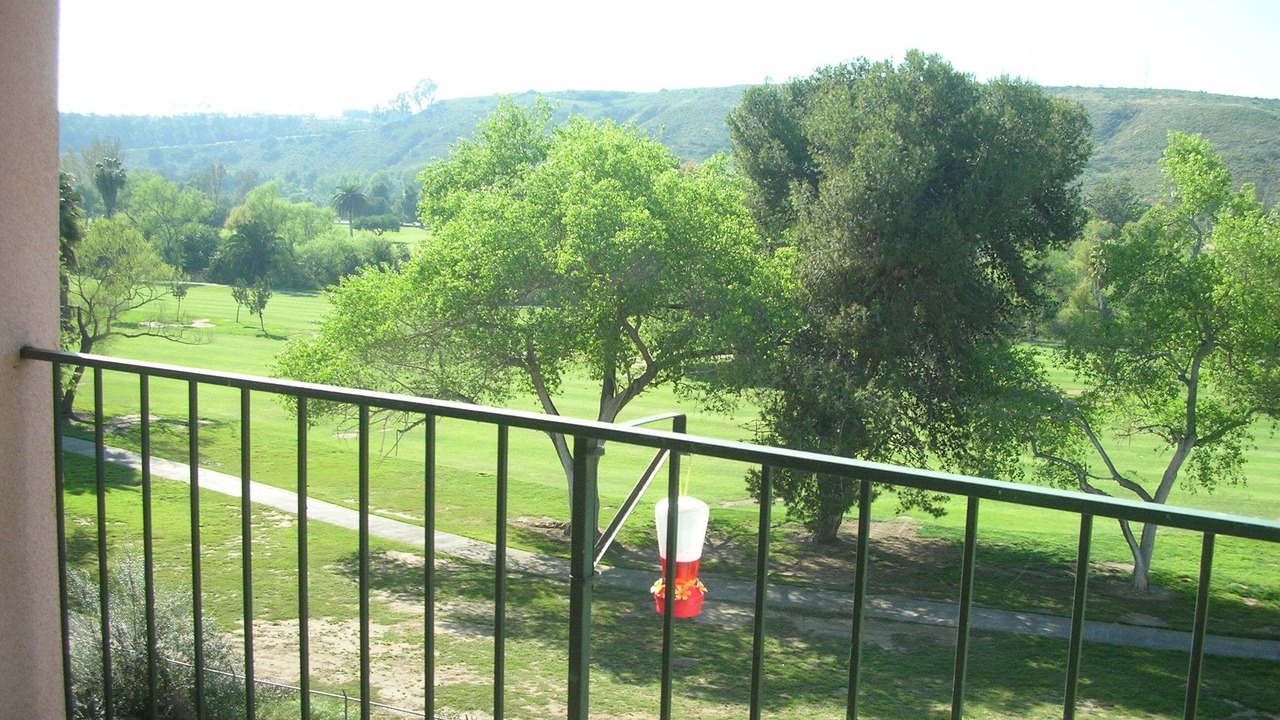 Photo of Outdoor in Allied Gardens