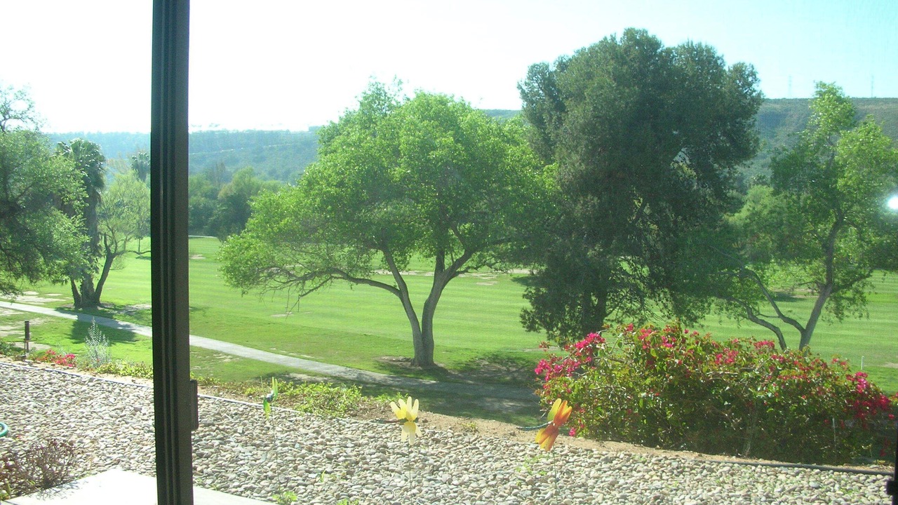 Photo of Outdoor in Allied Gardens