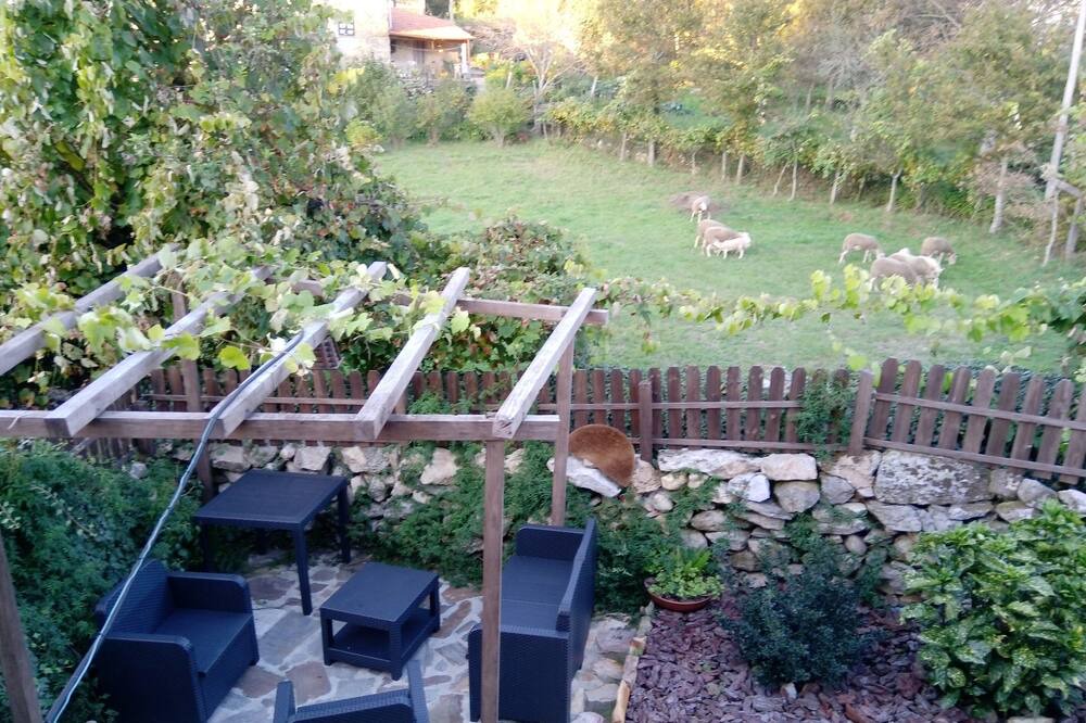 Photo of Outdoor in Meada