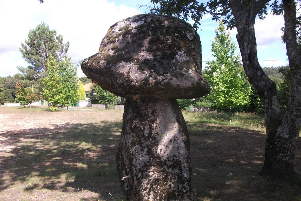 Photo of Outdoor in Meada