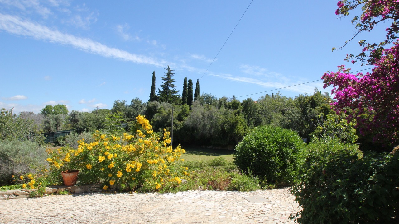 Photo of Outdoor in Vale de Parra