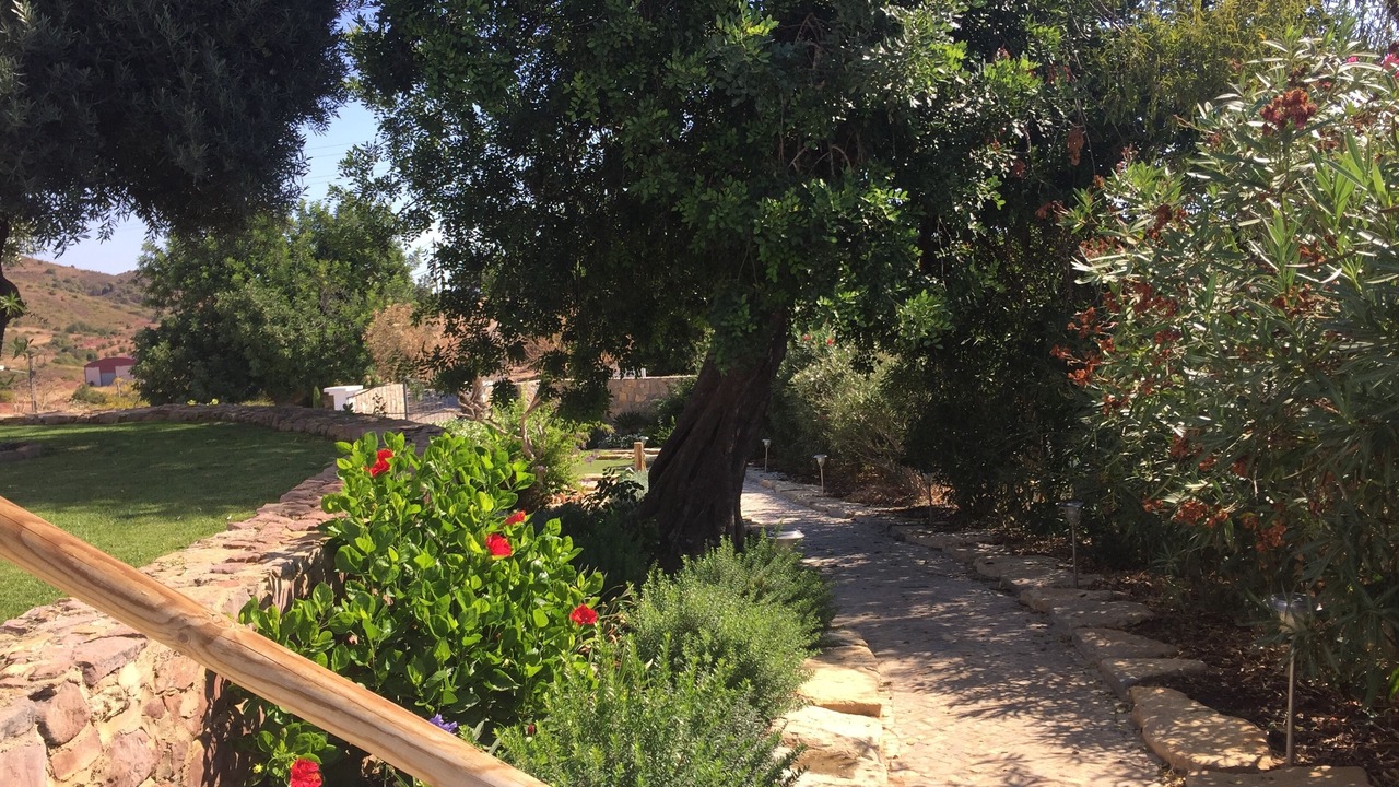 Photo of Outdoor in Tavira