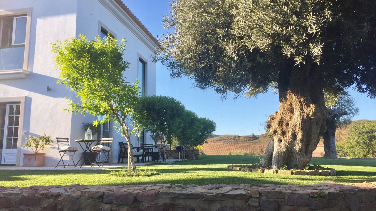 Photo of Outdoor in Tavira
