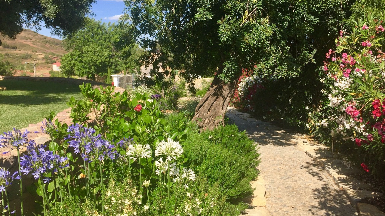 Photo of Outdoor in Tavira