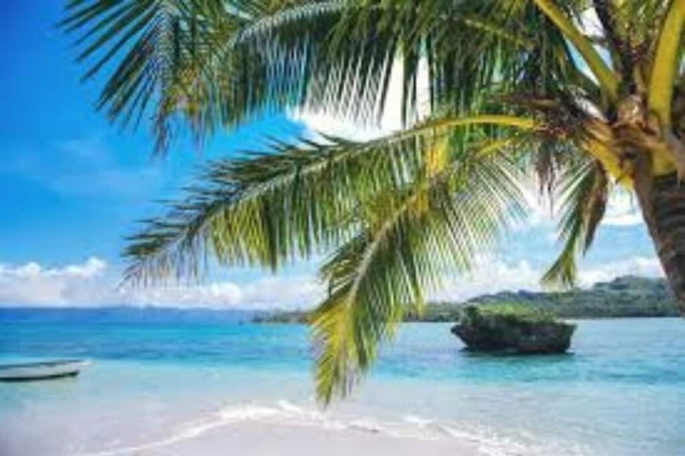 Photo of Others in Savusavu