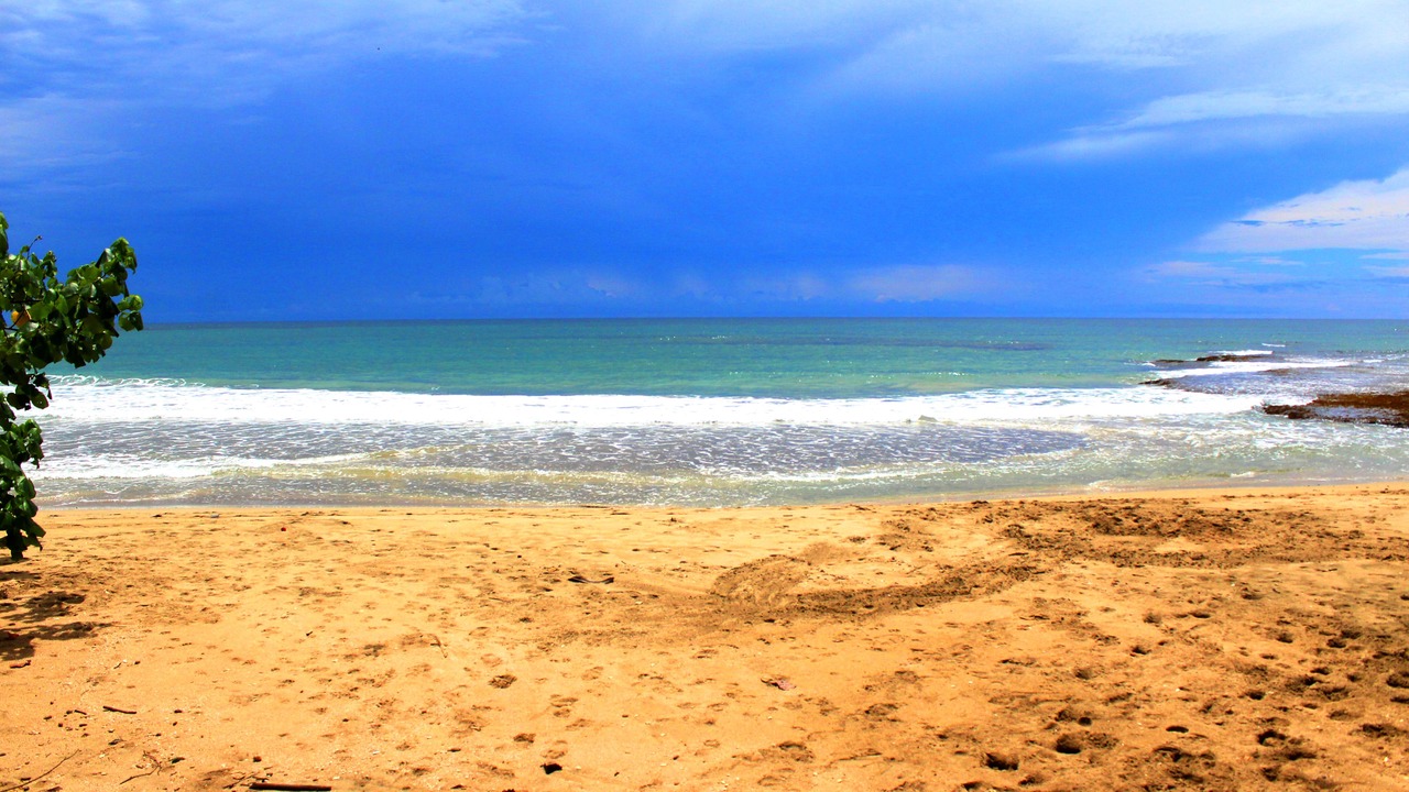 Photo of Others in Cahuita