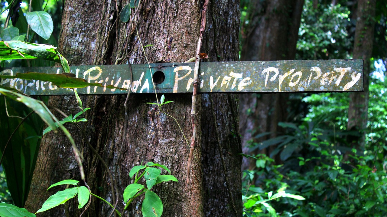 Photo of Others in Cahuita